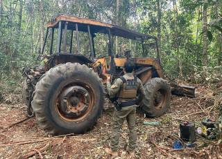 Operação Escudo Verde combate extração ilegal de madeira no norte de Mato Grosso