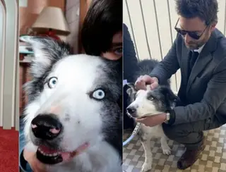 Cachorro Messi, estrela de "Anatomia de Uma Queda", vai entrevistar famosos no Festival de Cannes