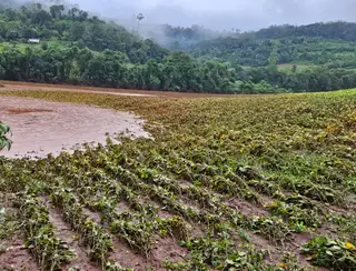 Prejuízos na agropecuária causados pelas chuvas no RS já passam de R$ 1 bilhão