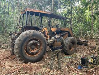 Operação Escudo Verde combate extração ilegal de madeira no norte de Mato Grosso