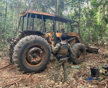 Operação Escudo Verde combate extração ilegal de madeira no norte de Mato Grosso