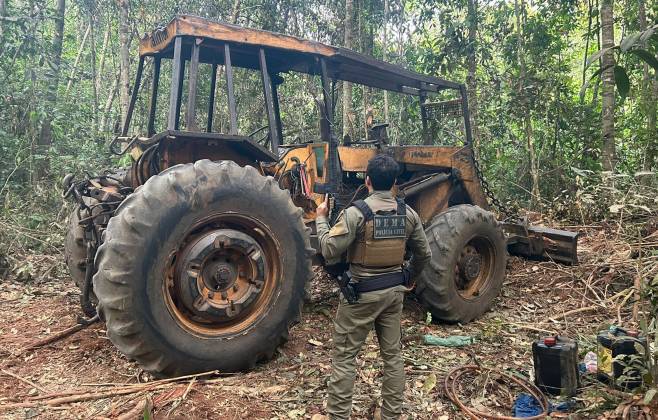 Operação Escudo Verde combate extração ilegal de madeira no norte de Mato Grosso